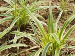 ���~����