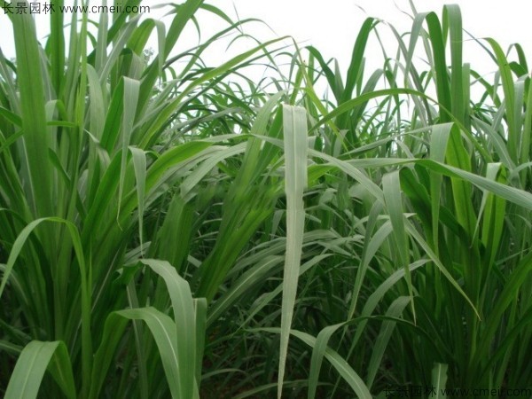 1712127025787138.jpg 1-1F6261R02K63.jpg